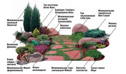 Hogyan lehet sziklakertek az ország saját kezűleg, építési sziklakert a kertben