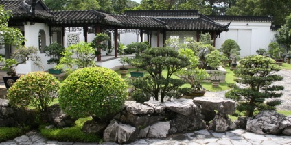 Chinese Garden fotó és videó kínai stílusú kerttervezés