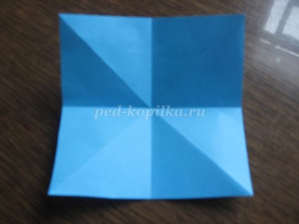 Campanula Origami (origami) origami harangvirág