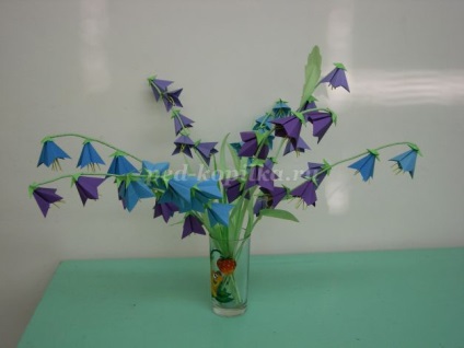Campanula Origami (origami) origami harangvirág
