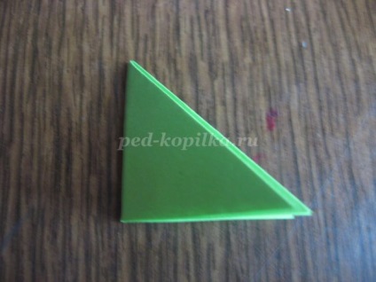 Campanula Origami (origami) origami harangvirág