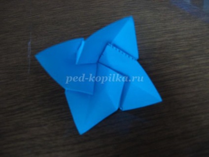 Campanula Origami (origami) origami harangvirág