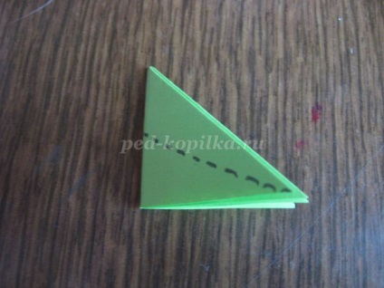 Campanula Origami (origami) origami harangvirág