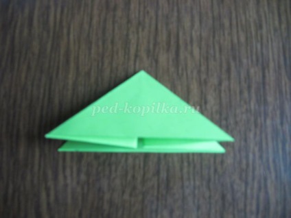 Campanula Origami (origami) origami harangvirág