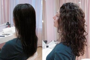 Curls Angel, összetétele, különböző, példák (faj) Curls Angel, összetétele, fajta, példák