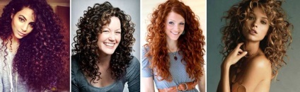 Curls Angel, összetétele, különböző, példák (nyitott, hogy meghódítsa a szívét) Curls Angel, összetétele, fajta, példák