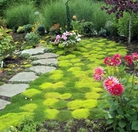 Moss egy látványos helyszínen elemként kerttervezés