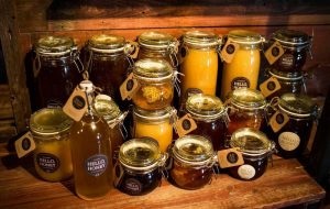 NARDEK görögdinnye méz - recept (kezelt betegségek Hornet) NARDEK görögdinnye méz - recept