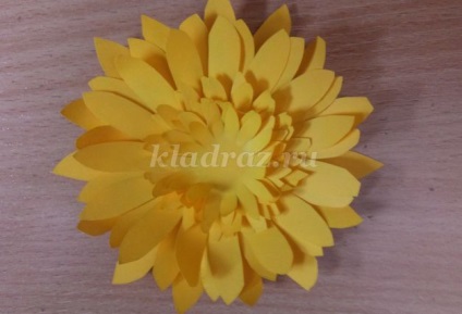 Volumetrikus rátét lapos anya saját kezűleg a március 8 (gerbera) Volumetrikus rátét lapos anya saját kezűleg a március 8