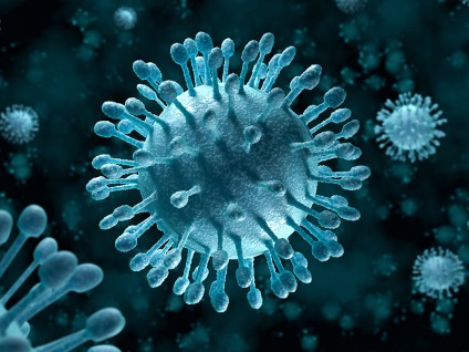 A parenterális vírusos májgyulladás (kt „26 város poliklinika”, Minszk) A parenterális vírusos hepatitis