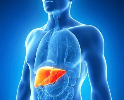 A parenterális Viral Hepatitis (fertőző májgyulladás) A parenterális vírusos hepatitis