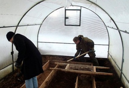 Felkészülés az üvegházhatást okozó uborka ültetés -, hogyan kell elkészíteni a földet, az ágy, a magokat ültetés