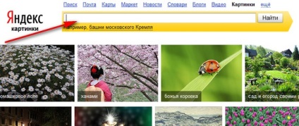 Keresés kép (kép) Keresés kép alapján