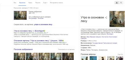 Keresni egy kép a Google és Yandex feltölt egy képet vagy fényképet, és keresse meg a képet