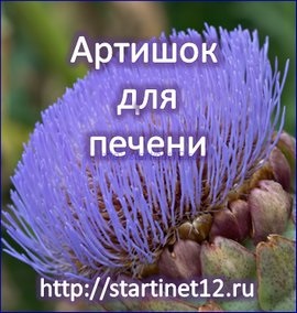 Savkészítményekre articsóka gyógyszerek, étrend-kiegészítők, tea Vietnam (táplálékkiegészítők) Articsóka készítmények gyógyszerek, étrend-kiegészítők, tea Vietnam