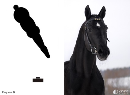 Téma megtekintése - mit és hogyan kell fényképezni lovak