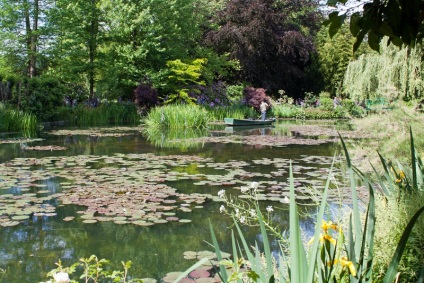 A tó az ország tennie magát, fotó, videó, gazdagon berendezett kert