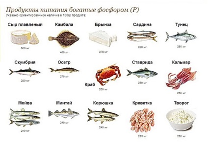 A szerepe foszfor a szervezetben, foszfortartalmú termékek és a napi arány, hogy az elem, és vitaminok