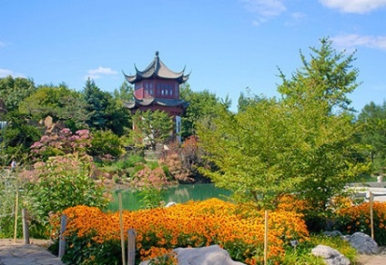 Garden a kínai stílusban fotót fő elemei a készítmény