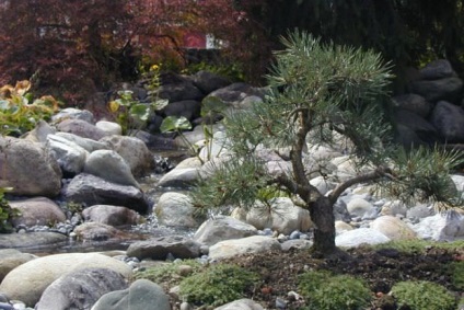 Garden a kínai stílusú táj megvalósításában keleti filozófia