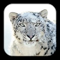 A legegyszerűbb módja annak, hogy változtassa meg a fájl vagy mappa ikonra a Mac OS X - appstudio projekt (fájl) A legegyszerűbb módja annak, hogy változtassa meg a fájl vagy mappa ikonra a Mac OS X - projekt appstudio