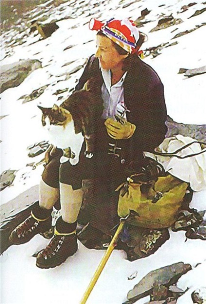 Swiss-cat hegymászó (Tomba) Svájci cat hegymászó