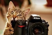Film fotósok hogyan lehet indítani egy vállalkozást pénz nélkül a fotózás (fotók) Film fotósok hogyan lehet indítani egy vállalkozást pénz nélkül a fotókon