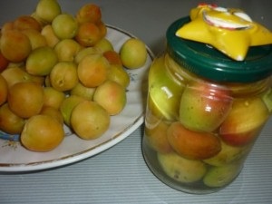 Ezer tippek - Receptek üres sárgabarack (üres) Ezer tippek - Receptek üres barack