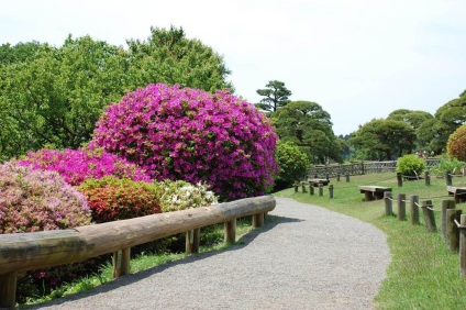Három híres kertek Japán (Koraku-en Garden (Okayama)) Három híres kertek Japán