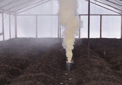 Gondozása uborka az üvegházban, és hogyan kell vigyázni a talajelőkészítés talajtakaró, ha ültetés melegházban