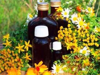 Válassza növényi olajat (az egészséges és klinikai táplálás)
