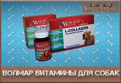 Volmar vitaminok kutyák, áttekintésre, funkciók