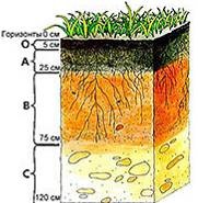A bevezetés a talaj mint élőhely és a fő edafikus tényezők - hatására különböző edafikus