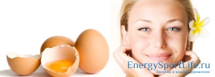 Egg fehérje hasznos tulajdonságai