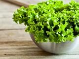 Miért eszünk saláta (egészséges és klinikai táplálás)