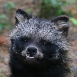 Nyerj építkezéseken anélkül, hogy képes létrehozni őket, a kezdő szabadúszó (keresni) Nyerj építkezéseken anélkül, hogy képes létrehozni őket, a kezdő szabadúszó