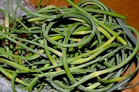 Zöld hajtások fokhagyma - aromás ízesítő és természetes forrása a biológiailag aktív anyagok (hajtások) Zöld hajtások fokhagyma - aromákkal és természetes forrása a biológiailag aktív anyagok