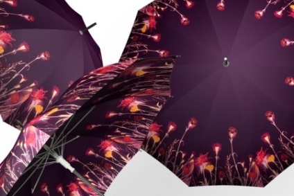 Nő Umbrella (65 fotó) modell a fából készült fogantyú (fa) Nő Umbrella (65 fotó) modell, fa nyéllel