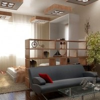 Zónák a szoba egy hálószoba és nappali érdekes funkciók