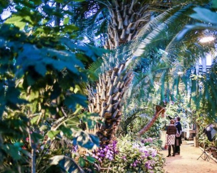Botanical Garden (botanikus kert Magyarország) botanikuskert