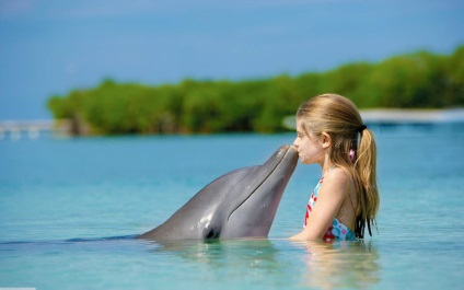 Delfinek - emlősök, mint az emberek