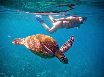 Látnivalók Zakynthos, Görögország (fotó) Navagio öböl, teknős edző-edző