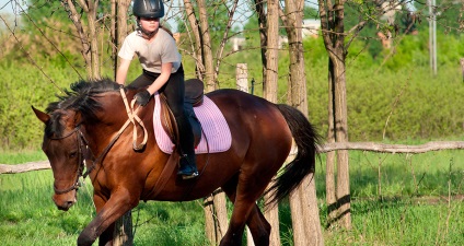 Hová menjünk lovaglás lovak Moszkva és környéke