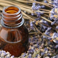 Homeopátia és fűszernövények, a kezelés a méh polipok népi orvosság - receptek egészségügyi