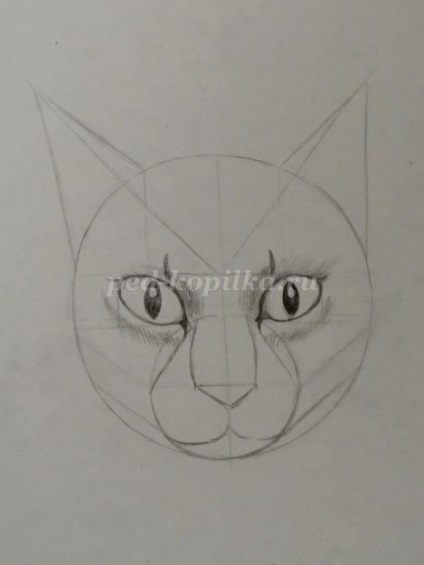 Hogyan kell felhívni a macska fejét ceruza szakaszokban fotókkal