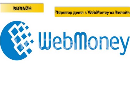 Hogyan át pénzt WebMoney át légvonalban