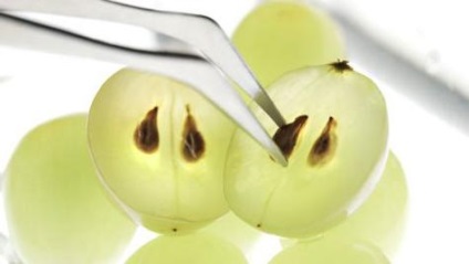 Hogyan kell fogadni a szőlő olaj (szőlő) Hogyan készítsünk szőlőmagolaj
