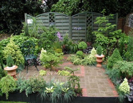 Hogyan hozzunk létre egy fenyves kert a ház 10 gyakorlati tanácsokat