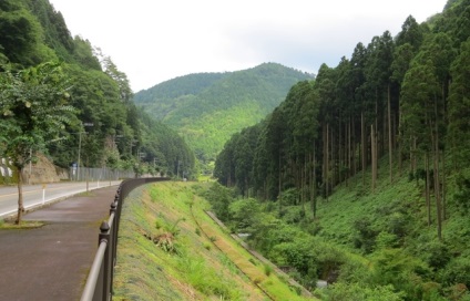 Hogy vannak az utak és a közúti infrastruktúra Japánban