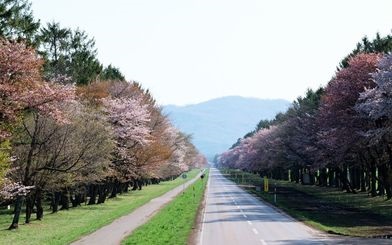 Hogy vannak az utak és a közúti infrastruktúra Japánban